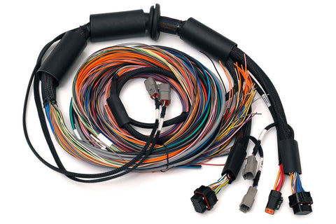 Haltech Nexus R3 Universal Wire-In Harness