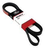 Gates Barra Serpentine Drive Belt