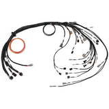 Ford Barra engine wiring harness with multiple black wires, various connector types, and one coiled orange wire, displayed on a clean white background.