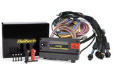 Haltech Nexus R5 + Uinversal Wire-In Harness Kit