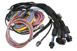 Haltech Nexus R5 + Uinversal Wire-In Harness Kit