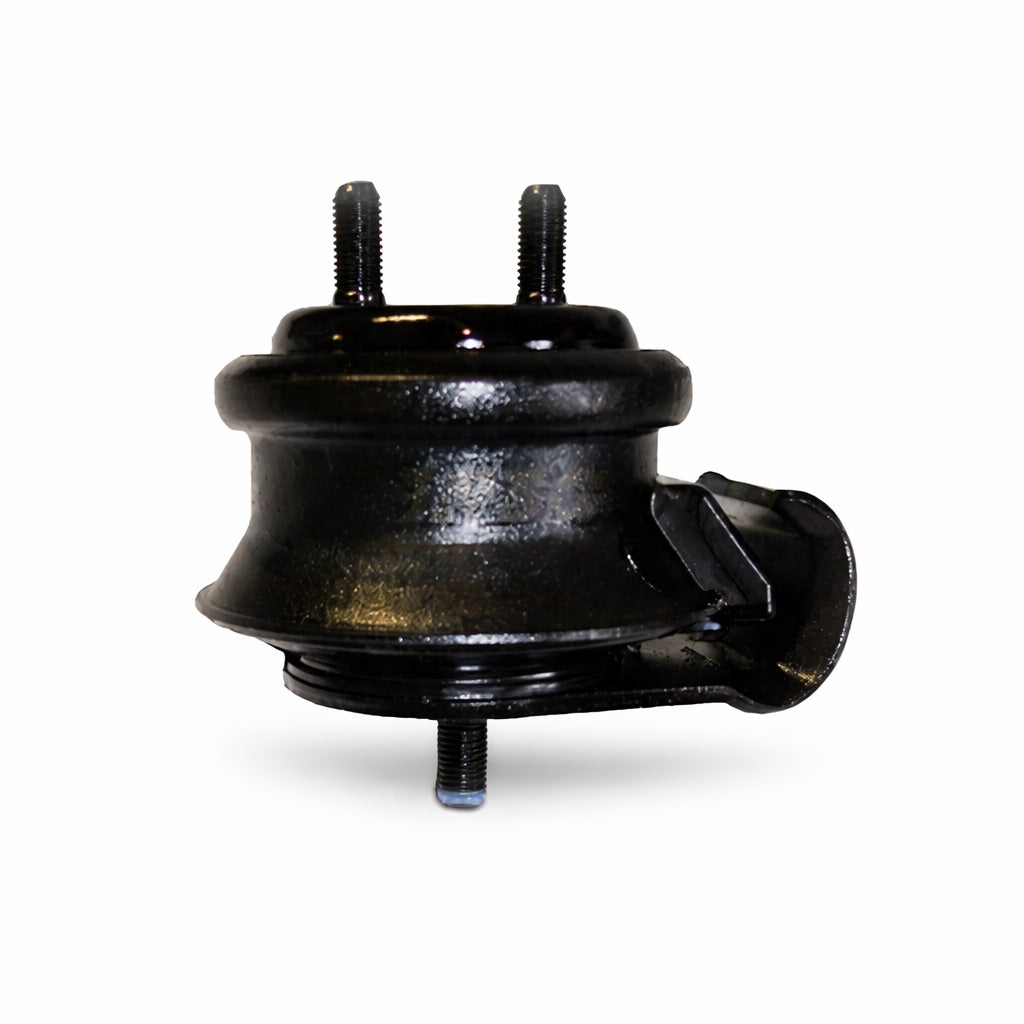 Transgold Skyline Engine Mount – BarraTheWorld.com