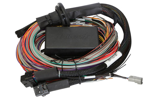 Haltech Elite 2500 & 2500 T Premium Universal Wire-in Harness